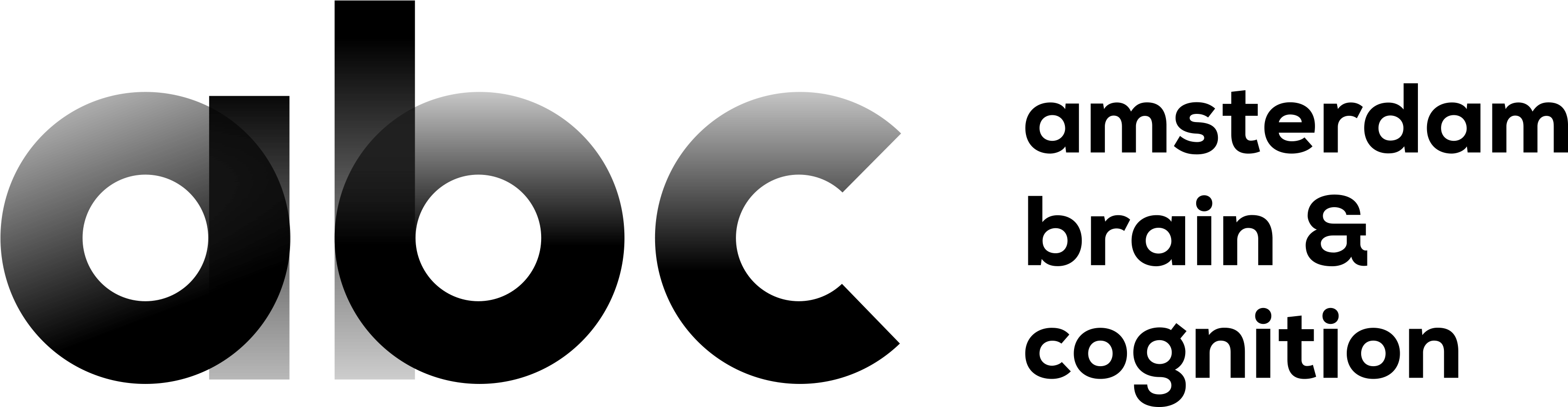 Amsterdam Brain & Cognition